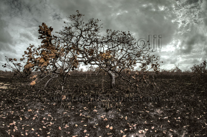 fotos paisajes de venezuela